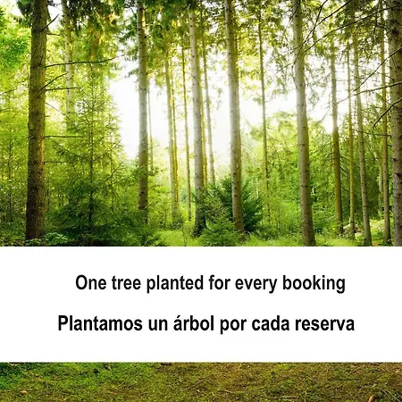 Villa Fidalsa Dom Perignon *